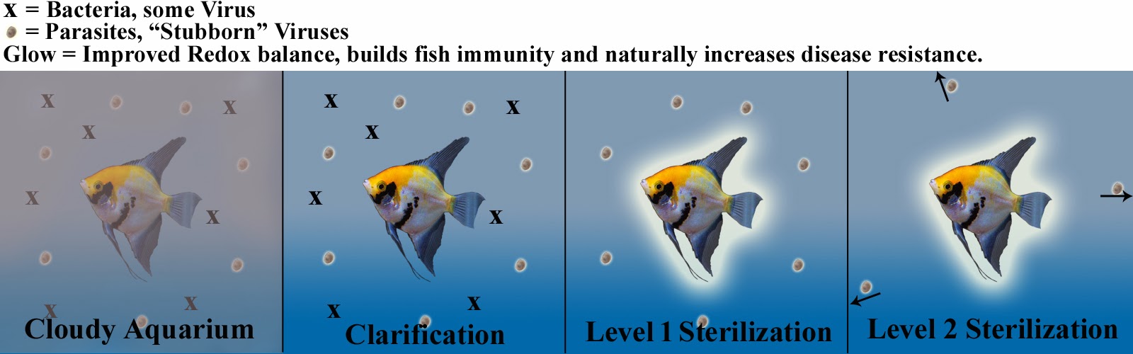 Uvc Sterilization How Aquarium Pond Uv Sterilizers Work