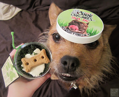 Jada and Canine Cupcakes in a jar