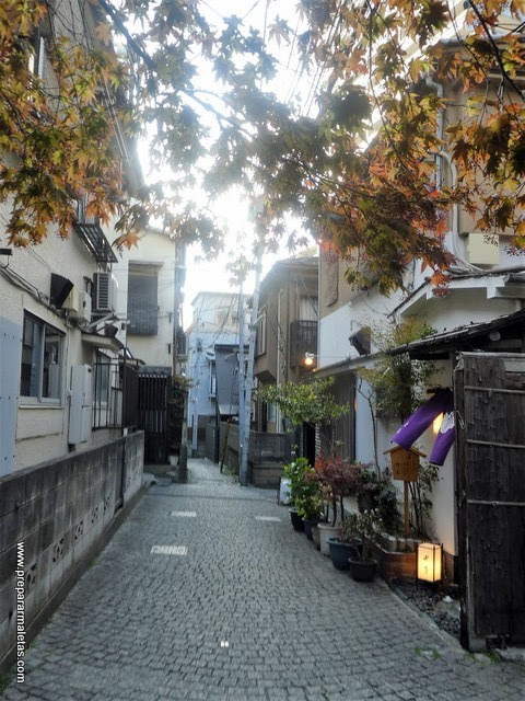 barrios desconocidos de Tokio