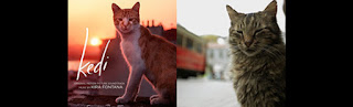 cat soundtracks-nine lives cats in istanbul soundtracks-kedi muzikleri-istanbulun kedileri muzikleri