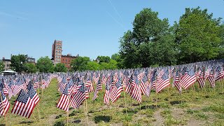 a view of the flag garden