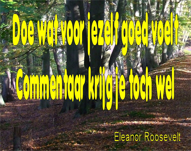 quote van de dag