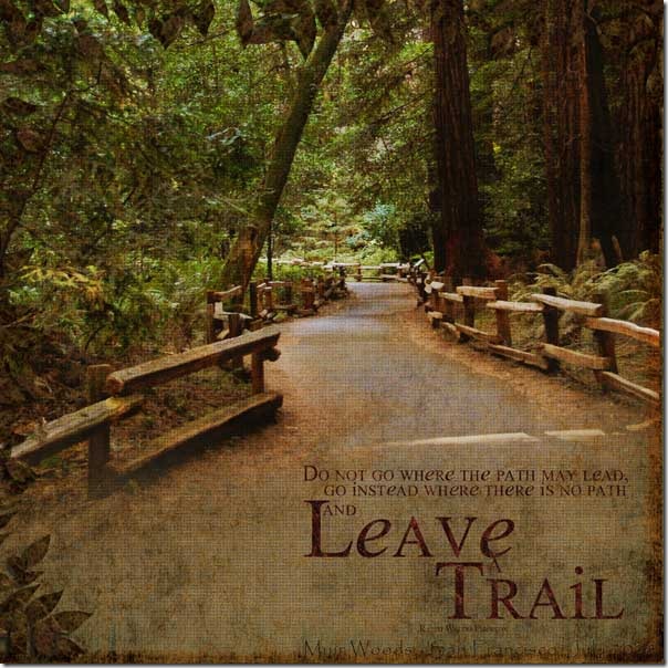 muirwoods