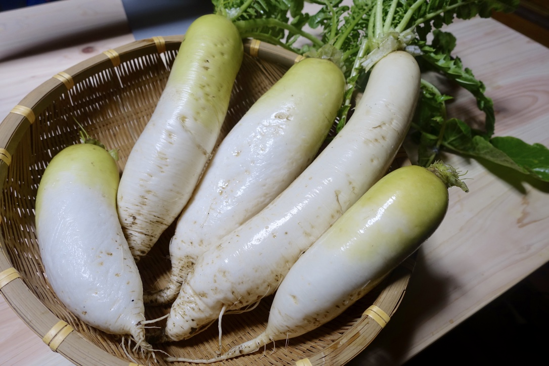 Thumb DSC01804 1024