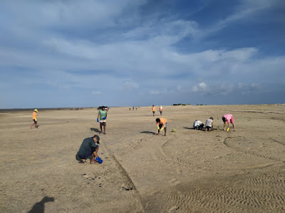 Óleo nas praias de Tutóia mobiliza população e autoridades para limpeza