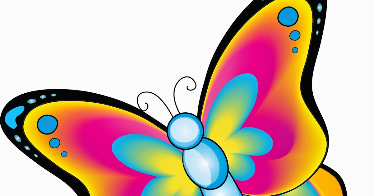  Gambar  Kupu  kupu  yang lucu TokoFauzia