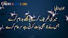Attitude Poetry in Urdu 2 Lines Text