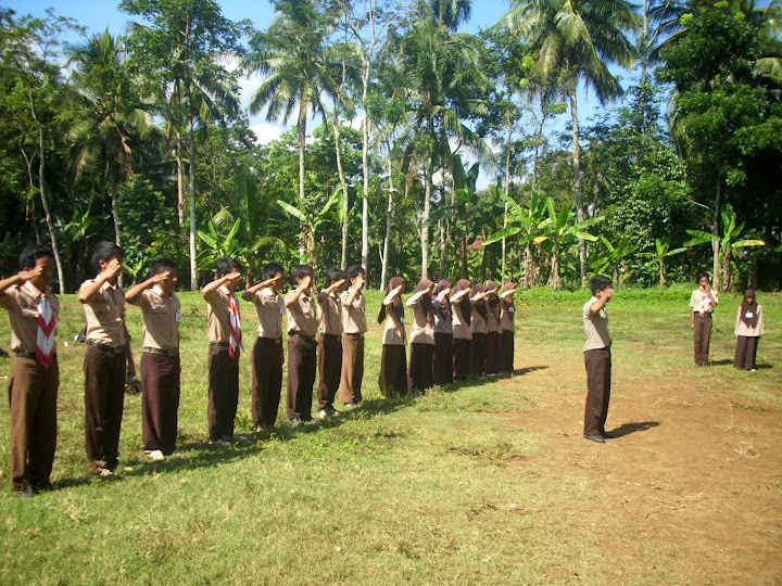 Cemara Gunung (Casuarina Junghuniana)  SAKA WANABAKTI KAWALI