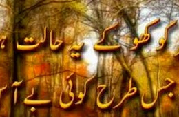 Ek Humsafar Khoe Ke - Urdu Poetry of Amjad Islam Amjad