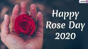 Happy Rose Day 2023: Wishes, Messages, Quotes, Images, Facebook & Whatsapp status