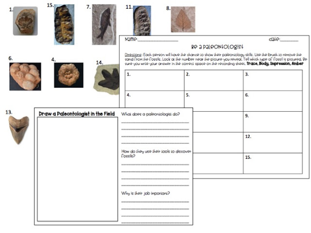 Jurassic World isn't just a movie. It can be a classroom transformation for a day or week while you teach your students engaging lessons about fossils. Expand your Jurassic World theme with rigorous content that your students will love while they are highly engaged every minute.  Find out how to get high quality and realistic Jurassic World decor on the cheap to make your students really feel like they are living in the Jurassic time period. (grades 2,3,4,5, second, third, fourth, fifth graders)