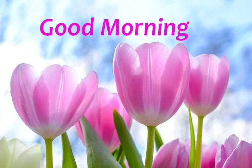 Latest Best Good Morning Wishes.