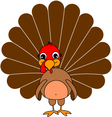 Funny Turkey Pictures