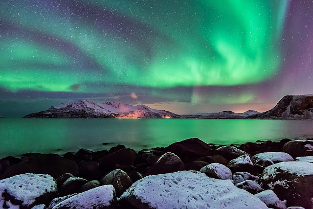 Aurora's From Norway 