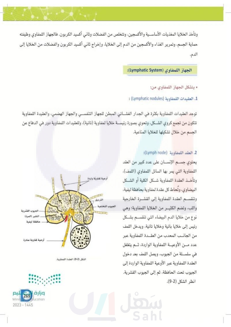 9-1 مكونات الجهاز اللمفاوي