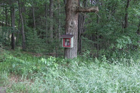 Little Free Library in the Woods
