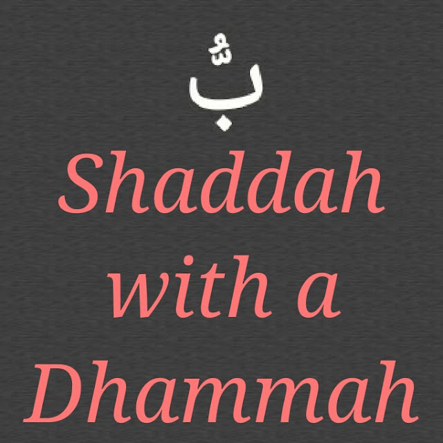 Arabic Grammar Basics Shaddah with a Dhammah
