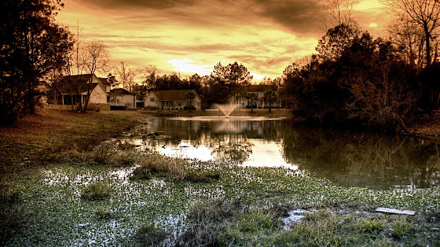 Beautiful Backyard