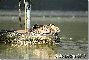 IMG_4058