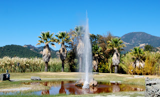 Old Faithful Geyser Calistoga California USA