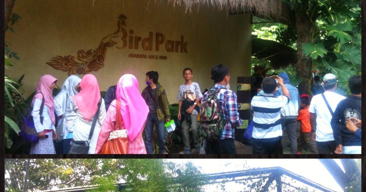 Mengenalkan aneka burung ke anak di Gembira Loka Zoo 