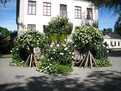 DSCN0427