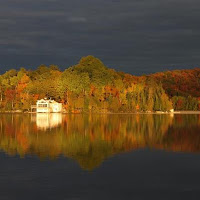 Muskoka waterfront cottages