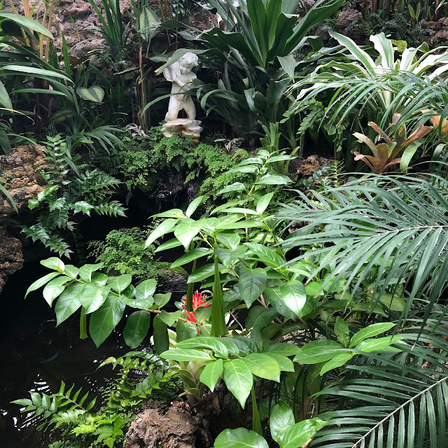 Picturesque fountain at Oak Park Conservatory.