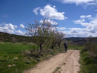 Alto del Campillo