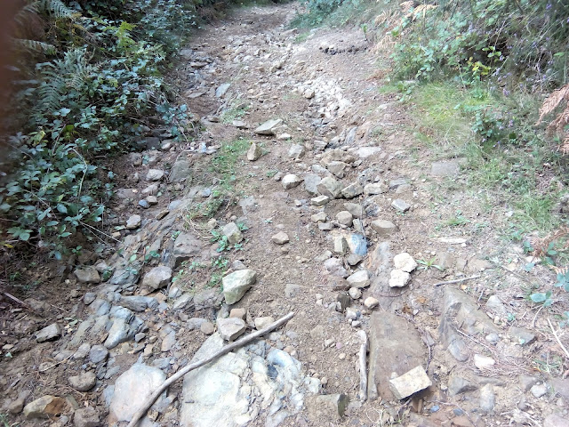 Vuelta Sierra Aramotz MTB