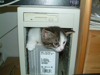 Computerkatze by avatar-1 from flickr (CC-SA)