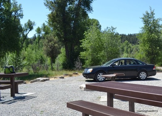 Our picnic spot along the river