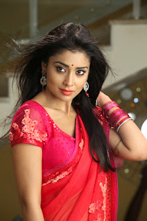 Pavitra Movie Hot Shriya Stills