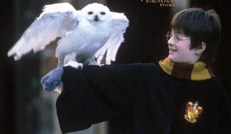 60088_Papel-de-Parede-Harry-Potter-e-a-Pedra-Filosofal-Harry-Potter-and-the-Sorcerers-Stone--60088_1024x768