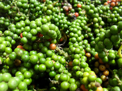 Kenali Buah (2) ~ Ohhh baru tahu