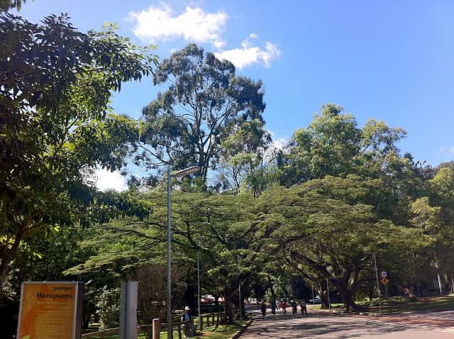 Parque Ibirapuera