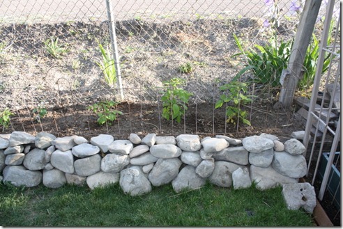 May 2012 047