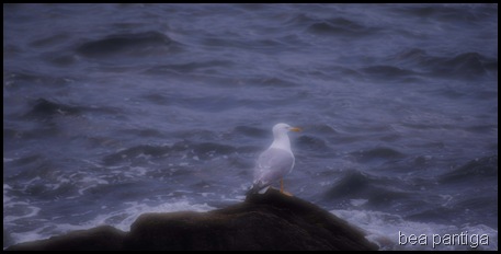 CSC_0207