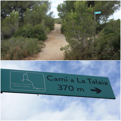 CALAFELL-MONTPAÓ-URBANITZACIÓ VALLDEMAR-TORRE D'EN VIOLA- EL PUJAL-LA TALAIA, camí al Puig de la Talaia de Calafell