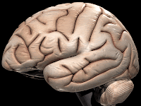 10 Fenomena Aneh Dalam Otak Manusia