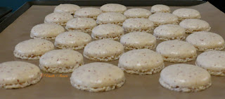 Macarons cacahuète, noisette, noix de pécan et noix de coco