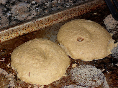 Pale, flattened pumpkin doughnuts.