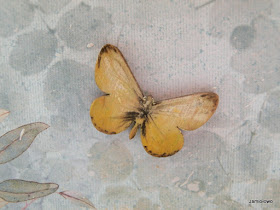 piękne motyle scrapki wykonane z drewna ręcznie malowane
