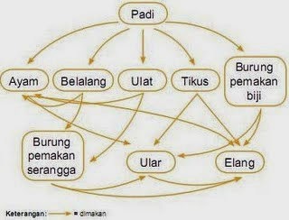 contoh ekosistem alam adalah hutan danau laut dan padang pasir contoh ...