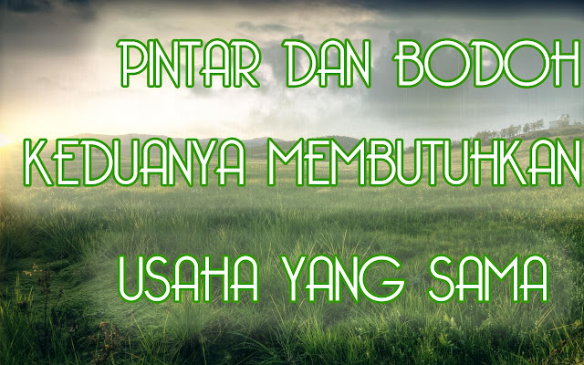  Kata bijak motivasi Pintar dan bodoh keduanya tetap 