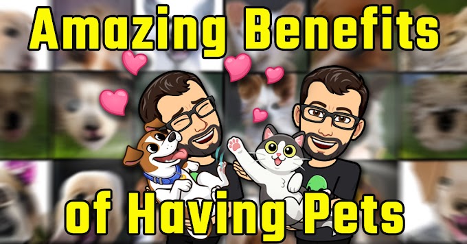 10 Amazing Benefits of Having Pets