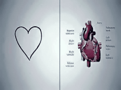 Gambar Penggolongan Obat Penyakit Jantung Dan Terapi Jantung