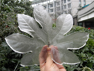 very nice leave shape of ice