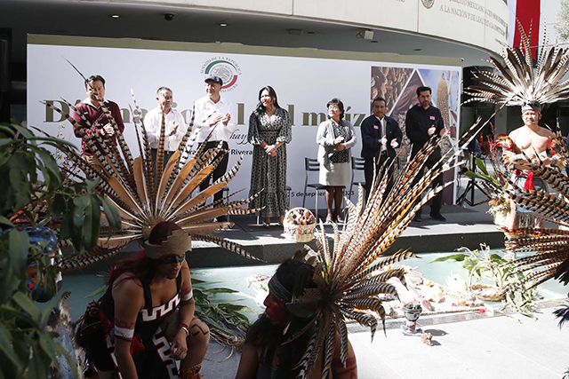 Senado iniciará la defensa de la semilla nativa del maíz