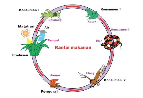 kelas 5 tema 5